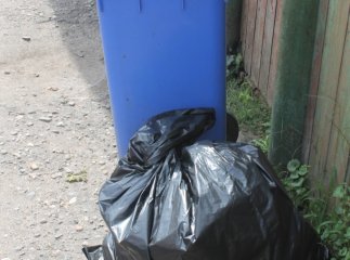 Мукачівські патрульні піймали крадія "по гарячих слідах"