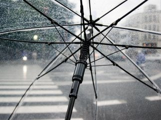 Синоптикиня попередила про грози та дощі на початку тижня