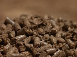 Краще за газ і дрова: в Україні почали опалювати новим «зеленим вугіллям»