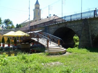 Прокуратура через суд оскаржує рішення Берегівської міськради про виділення земельної ділянки у охоронній зоні