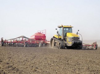 На Закарпатті суттєво зросла вартість посівної
