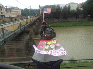 Ужгородську Свободку вбрали до Параду наречених