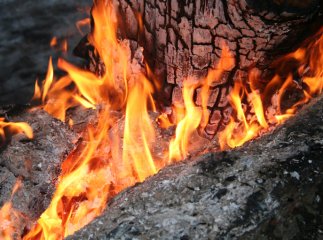 Михайло Рівіс доручив місцевій владі контролювати місця для масового відпочинку людей