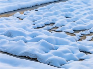 Не лише «відлига»: як українською гарно назвати зимове потепління