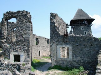 Іноземці шукають скарби у Невицькому замку (ВІДЕО)