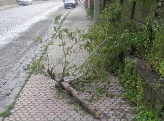 Наслідки бурі: знеструмлено 11 населених пунктів, 24 АТС відключені