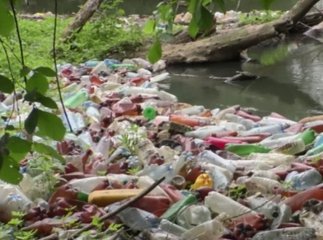 На Закарпатті гірські струмки потопають у смітті