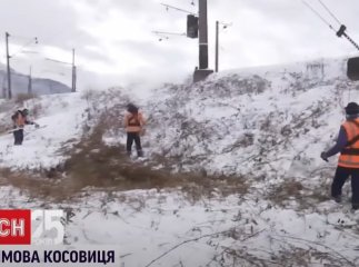 Залізничники пояснили, для чого дали команду працівникам взимку косити чагарники