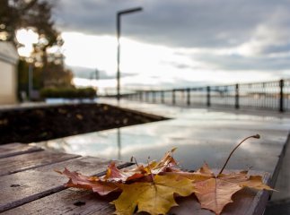Вихідні у листопаді: скільки відпочиватимуть українці