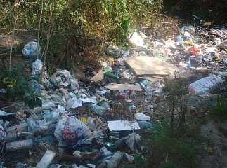 У Великому Березному мешканці однієї з вулиць, через безвихідь, створили власне сміттєзвалище