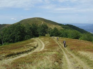 Літній відпочинок в Карпатах 2023: куди помандрувати Закарпаттям Літній відпочинок в Карпатах 2023: куди помандрувати Закарпаттям