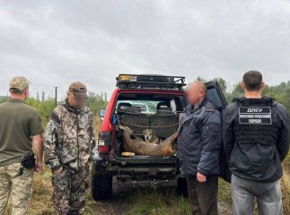На Закарпатті затримали браконьєрів. У машині виявили вбиту козулю На Закарпатті затримали браконьєрів. У машині виявили вбиту козулю