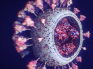 Світом шириться новий штам коронавірусу: що про нього відомо