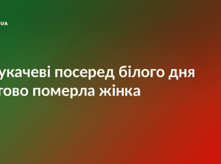 Загадкова смерть: у Мукачеві в салоні автобусу померла жінка