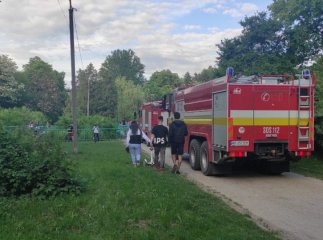 В ужгородському парку "Боздош" сталася пожежа