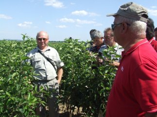 На Закарпатті відбувся "яблучний день"