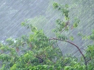 На Закарпатті очікують сильні зливи