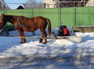 "Таксі по-закарпатськи": соцмережі підкорюють фото нового транспорту