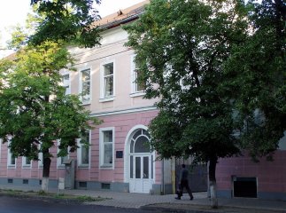 Держфінінспекція виявила у Мукачівському ліцеї з посиленою військово-фізичною підготовкою фінансові порушення на 214 тисяч гривень
