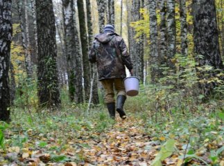 Чоловік пішов по гриби і заблукав