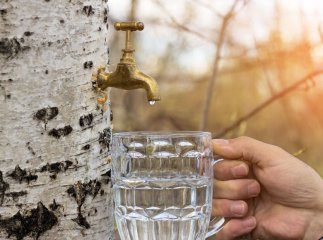 Українцям нагадали про штрафи за весняне «солодке» хобі