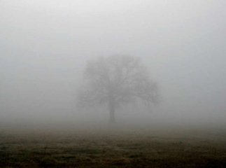 На Закарпаття насуваються сильні тумани