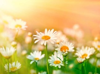 Прогноз погоди на травень 2024 року Погода на травень 2024 року