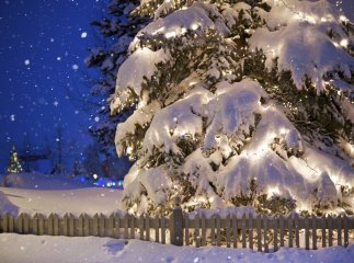 Якою буде погода на Новий рік: синоптики дали прогнози