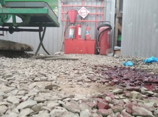 Оприлюднено фото з місця вбивства 20-річного мукачівця