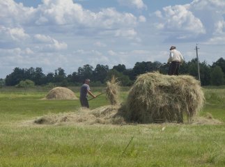 Пенсіонерам дозволили не платити один податок, але є умова