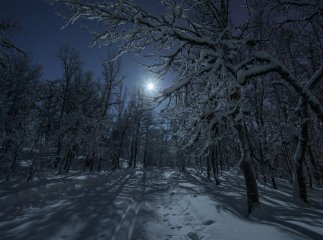 Хустські рятувальники шукали зниклого мешканця Вишкова