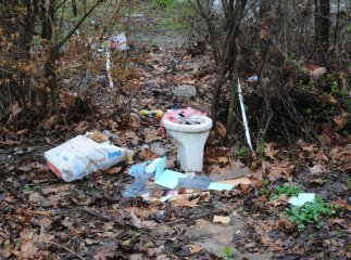 Толока в Мукачеві крізь об’єктив нашого кореспондента (ФОТОРЕПОРТАЖ)