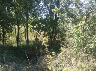 На Виноградівщині 61-річний пенсіонер впав у закинутий колодязь