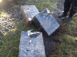 У вантажному потягу, що їхав до Словаччини, прикордонники виявили контрабандний тютюн 