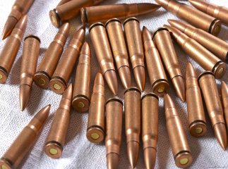 Іршавські оперативники вилучили у мешканця району 132 набої
