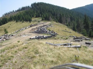 Закарпатські екологи притягнули до відповідальності 29 посадовців Рахівщини