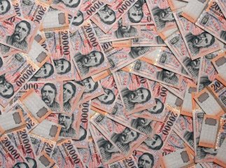 Угорщина дасть 15 закарпатцям гроші на власний бізнес. Оприлюдено список щасливчиків