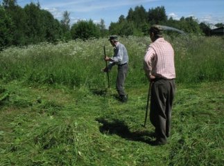 На Берегівщині загинув чоловік, порізавшись косою