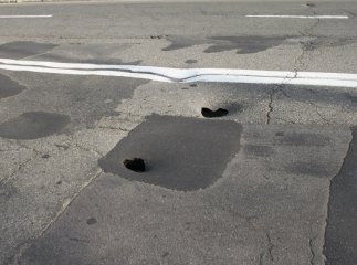 Зробили, щоб переробляти: майже новий асфальт на одній із вулиць Ужгорода "просів"