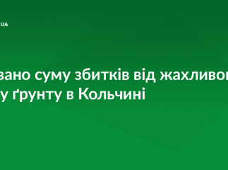 У Мукачівській РДА назвали суму збитків від жахливого зсуву ґрунту в Кольчині