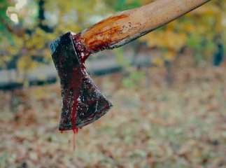 Закарпатця, який зарубав сокирою свого родича, взяли під варту