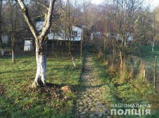 Від кохання до ненависті: жінка вбила свого співмешканця