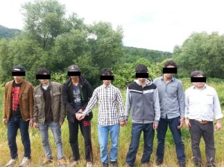 Минулої доби закарпатські прикордонники затримали велику кількість нелегалів