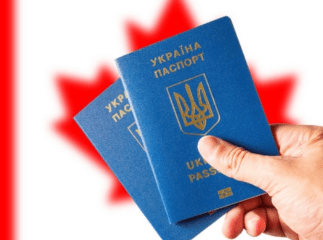 Подати заявку можна до 31 березня: озвучено інформацію для українців