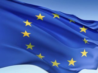 Регіонали з угорцями відмовились підтримати заяву депутатів Ужгородської райради щодо євроінтеграції адресовану до Януковича