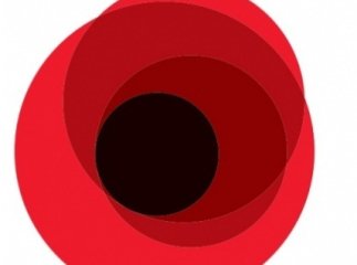 Голови Закарпатської області привітали ветеранів з Днем Перемоги