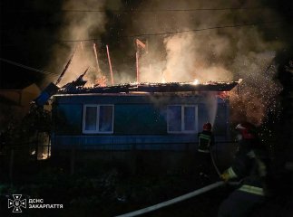 Вогонь частково знищив будинок: у селі на Закарпатті вирувала пожежа