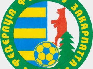 На засіданні виконкому федерації футболу створено Раду президентів футбольних клубів міста Ужгорода