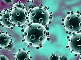 Стало відомо, з якого села двоє закарпатців, у яких підозрюють коронавірус