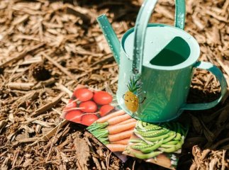 Як ефективно провести весняне прибирання на городі